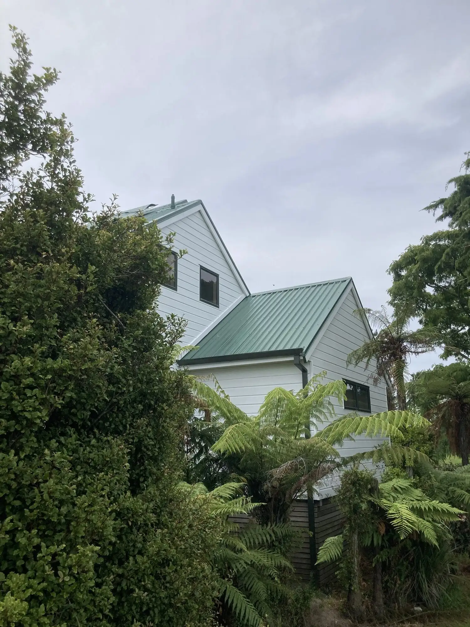 Weatherboard bach at Athenree repainted in white among native bush